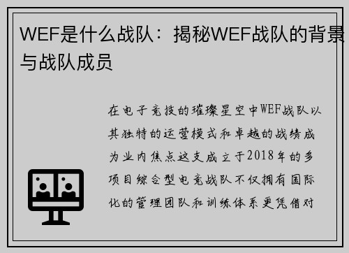 WEF是什么战队：揭秘WEF战队的背景与战队成员