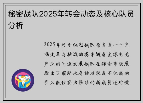 秘密战队2025年转会动态及核心队员分析